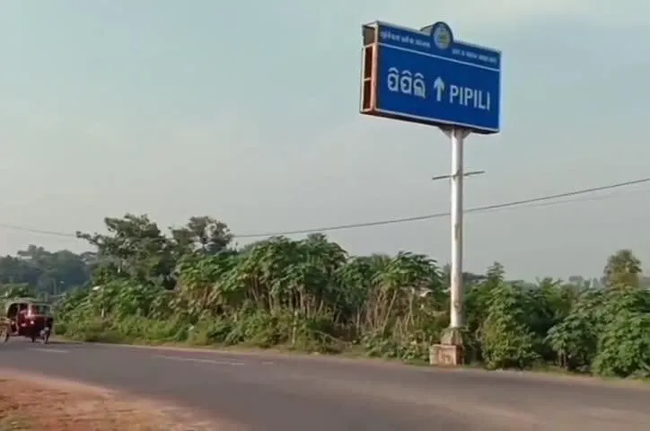 ପିପିଲି ଉପନିର୍ବାଚନ ସମର: ସଜବାଜ ଆରମ୍ଭ, ବିଗୁଲ୍‌କୁ ଅପେକ୍ଷା