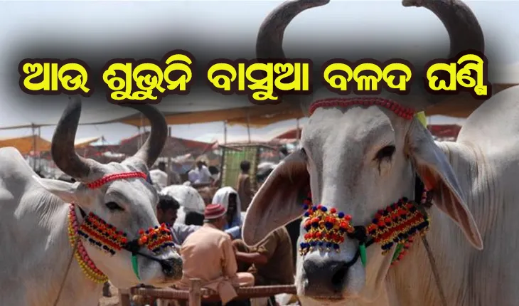 ଆଉ ଶୁଭୁନି ବାସୁଆ ବଳଦ ଘଣ୍ଟି