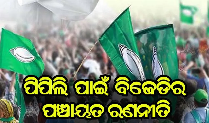 ପିପିଲି ଉପନିର୍ବାଚନ ପାଇଁ ବିଜେଡ଼ିର ପ୍ରସ୍ତୁତି, ନେତାଙ୍କୁ ପଞ୍ଚାୟତ ଦାୟିତ୍ୱ