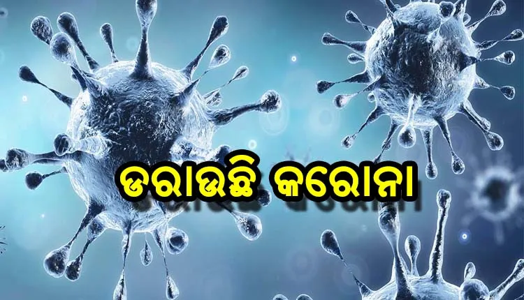 କରୋନା ଭୟ: ଟେଷ୍ଟିଂ, ଟ୍ରାକ ଓ ଟ୍ରିଟମେଣ୍ଟ ହାର ବଢାଇବା ପାଇଁ  ୮ ରାଜ୍ଯକୁ କେନ୍ଦ୍ରର ସ୍ବତନ୍ତ୍ର ନିର୍ଦ୍ଦେଶ