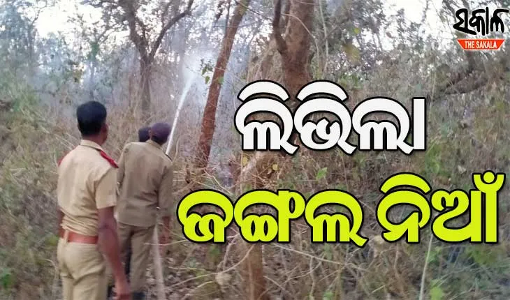 ଶିମିଳିପାଳ ଓ ରାଜ୍ୟର ଅନ୍ୟ ଜଙ୍ଗଲରେ ଲାଗିଥିବା ନିଆଁ ସମ୍ପୂର୍ଣ୍ଣ ଆୟତ୍ତାଧୀନ : ଫରେଷ୍ଟ ଟାସ୍କଫୋର୍ସ