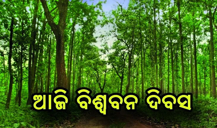 ଆଜି ବିଶ୍ବ ବନ ଦିବସ