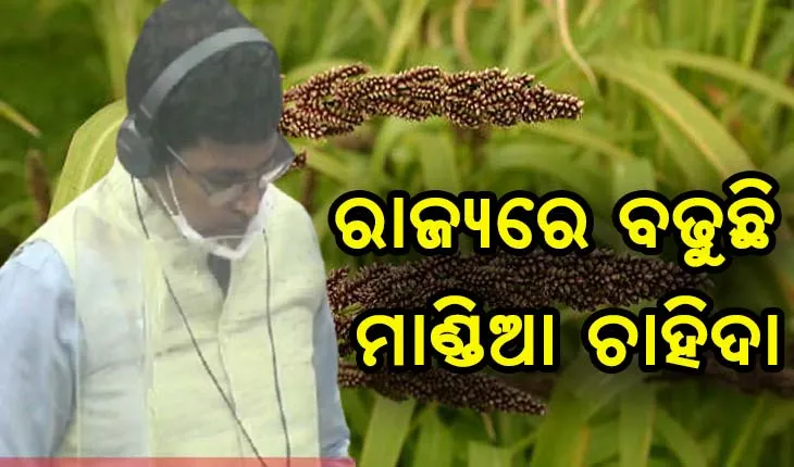 ରାଜ୍ଯରେ ବଢୁଛି ମାଣ୍ଡିଆ ଚାହିଦା, ମନ ଜିଣୁଛି ମିଲେଟ ମିଶନ- କୃଷି ମନ୍ତ୍ରୀ ଅରୁଣ ସାହୁ