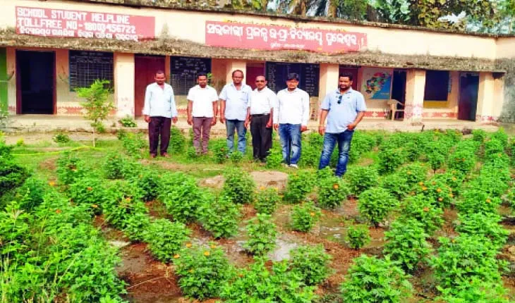 ଶିକ୍ଷକଙ୍କ ପ୍ରୟାସରେ ସ୍କୁଲ ପରିସର ପାଲଟିଲା ଫୁଲ ବଗିଚା