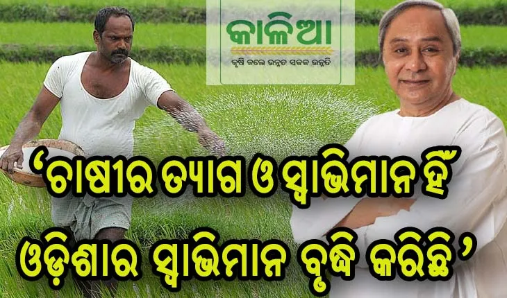 ଚାଷୀଙ୍କ ଖାତାକୁ ଗଲା ‘କାଳିଆ’ ଟଙ୍କା