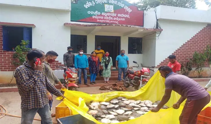 କଇଁଛ ଚୋରା ଚାଲାଣ: ବନ ବିଭାଗର ଚଢାଉ, ୧୫୦ ଜୀବନ୍ତ କଇଁଛ ଉଦ୍ଧାର