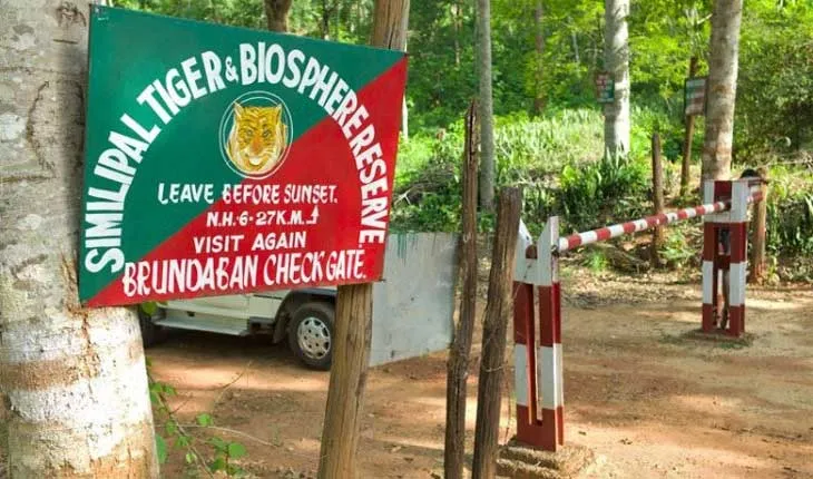 ଶିମିଳିପାଳ ଅଭୟାରଣ୍ୟରୁ ୩ ଶିକାରୀ ଗିରଫ