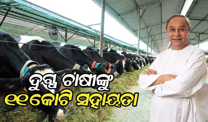 ଦୁଗ୍ଧ ଚାଷୀଙ୍କୁ ମିଳିଲା ମୁଖ୍ୟମନ୍ତ୍ରୀଙ୍କ ସ୍ୱତନ୍ତ୍ର କୋଭିଡ ସହାୟତା, ୧ ଲକ୍ଷ ଦୁଗ୍ଧ ଚାଷୀ ପାଇଲେ ୧୧ କୋଟି ଟଙ୍କାର ସହାୟତା