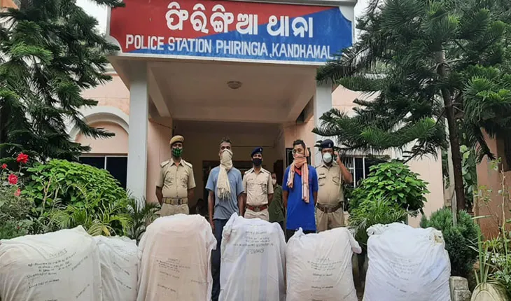 ୩ କୁଇଣ୍ଟାଲ ଗଞ୍ଜେଇ ଜବତ: ୨ ଗିରଫ