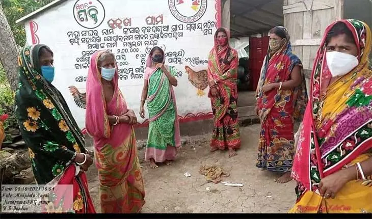 ରୋଜଗାରର ମାଧ୍ୟମ ପାଲଟିଛି ମିଶନ ଶକ୍ତି, କୁକୁଡ଼ା ପାଳନ କରି ମହିଳା ସ୍ୱାବଲମ୍ବୀ
