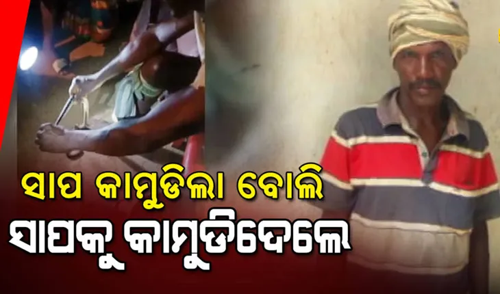 ଆଶ୍ଚର୍ଯ୍ଯ ଜନକ ଘଟଣା: ସାପ କାମୁଡିଲା ବୋଲି ପ୍ରତିଶୋଧ ପରାୟଣ ହୋଇ ଜଣେ ବ୍ଯକ୍ତି ସାପକୁ କାମୁଡି ମାରିଦେବା ସହ ରକ୍ତ ପିଇଦେଲେ