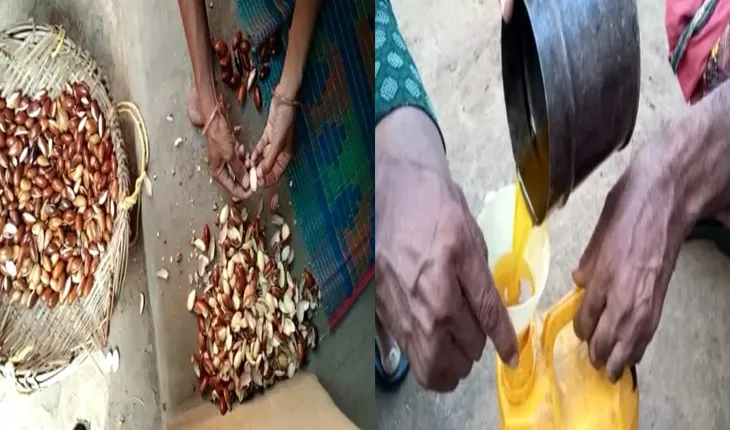 ଖାଇବ ତେଲ ମହଙ୍ଗାମାଡ଼: ଟୋଲତେଲ ସାଜିଛି ଗରିବଙ୍କ ସାହାରା
