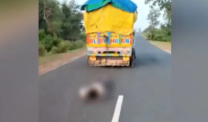 ହଜିଗଲା ମାନବିକତା: ଚୋର ସନ୍ଦେହରେ ଯୁବକଙ୍କୁ ପିକଅପରେ ବାନ୍ଧି ଘୋଷାଡି ଘୋଷାଡି ନେଇ ମାରିଦେଲେ