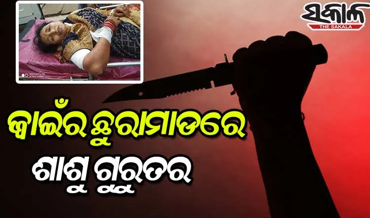 ଜ୍ୱାଇଁର ଛୁରାମାଡରେ ଶାଶୁ ଗୁରୁତର