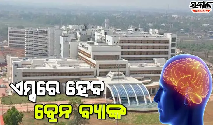 ଭୁବନେଶ୍ବର ଏମ୍ସରେ ପ୍ରତିଷ୍ଠା ହେବ ସାଟେଲାଇଟ୍ ବ୍ରେନ ବ୍ୟାଙ୍କ