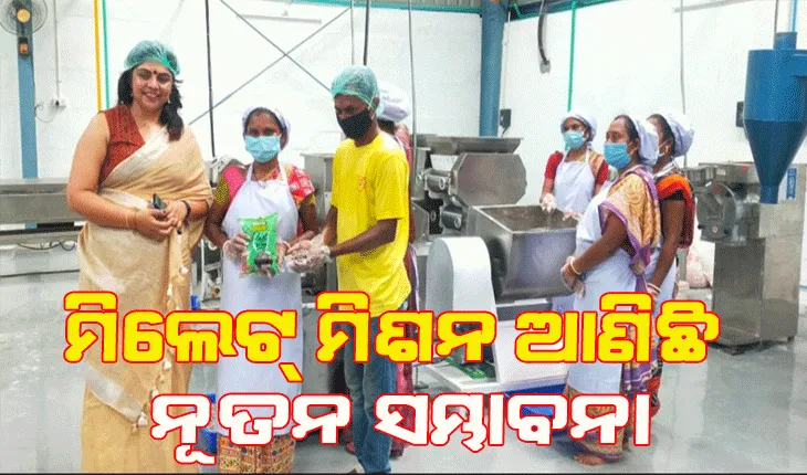 ମିଲେଟ୍ ମିଶନ ଆଣିଛି ନୂତନ ସମ୍ଭାବନା; ମୟୂରଭଞ୍ଜ ଜିଲ୍ଲାର ଉଦ୍ୟୋଗୀ ଓ ଏସଏଚଜି ଗୋଷ୍ଠୀଙ୍କ ଜୀବିକା ବୃଦ୍ଧି ସହିତ ୩ ହଜାର ମାଣ୍ଡିଆ ଚାଷୀ ହୋଇଛନ୍ତି ଉପକୃତ