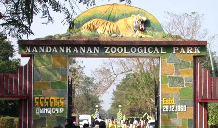 ନନ୍ଦନକାନନ ବାଘ ସଫାରୀରୁ ପୁଣି ଉଦ୍ଧାର ହେଲା ଆଉ ଏକ କୁମ୍ଭୀର ଛୁଆ