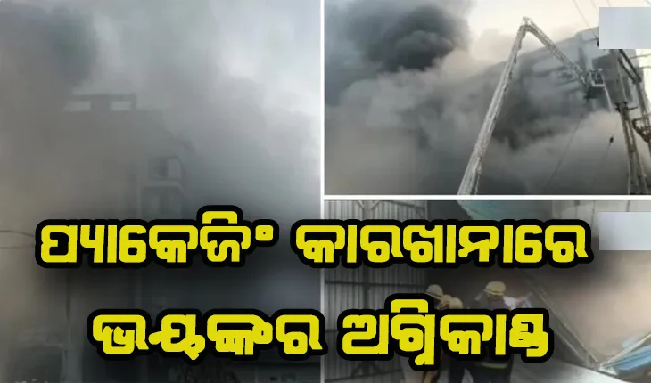 ସୁରଟ ପ୍ୟାକେଜିଂ କାରଖାନାରେ ଭୟଙ୍କର ଅଗ୍ନିକାଣ୍ଡ; ୨ ମୃତ, ୧୨୫ ଉଦ୍ଧାର