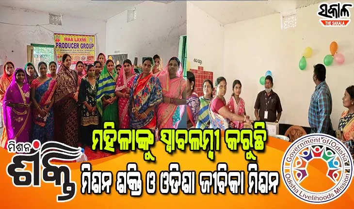 ବୈଷୟିକ ଜ୍ଞାନ କୌଶଳରେ ପ୍ରସ୍ତୁତ ହେବ ବଢି,ପାମ୍ପଡ଼,ଆଚାର, ମସଲା