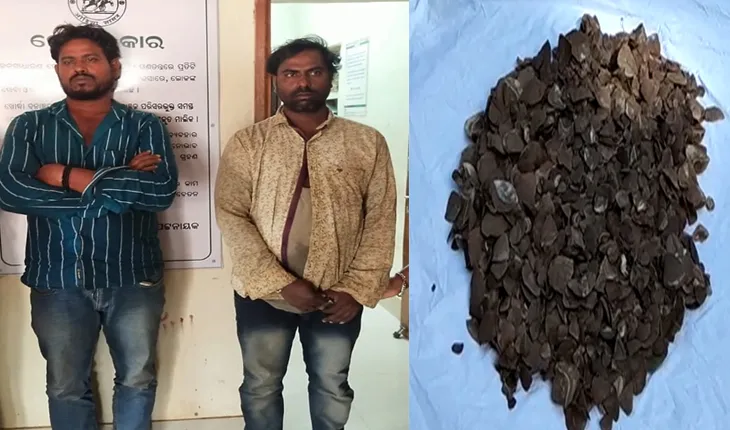 ବଜ୍ରକାପ୍ତା କାତି ଉଦ୍ଧାର, ୨ଗିରଫ
