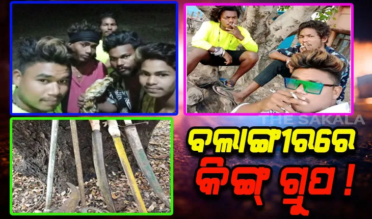 କେବିଏନ୍ ଓ ପବ୍ଲିକ ଷଣ୍ଢ ଗ୍ରୁପ ପରେ ବଲାଙ୍ଗୀରରେ ଭାଇରାଲ ହେଲା କିଙ୍ଗ୍‌ ଗ୍ରୁପର ଭାଇଗିରି ଭିଡିଓ