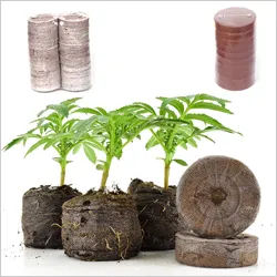Cocopeat Substitude of Soil