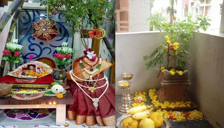 ଘରର ଏହିସବୁ ଦିଗରେ ଲଗାନ୍ତୁ ତୁଳସୀ ଗଛ, ଦୂର ହେଇଯିବ ଆପଣଙ୍କର ସମସ୍ତ ସମସ୍ୟା