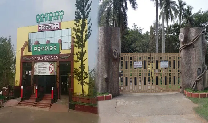 ଆସନ୍ତାକାଲିଠୁ ନନ୍ଦନକାନନ ପିଣ୍ଡି ବୁକିଂ; ସ୍ବତନ୍ତ୍ର ଗାଇଡ୍‌ଲାଇନ୍ ମଧ୍ୟରେ ବଟାନିକାଲ ଗାର୍ଡେନରେ ବଣଭୋଜିକୁ ଅନୁମତି