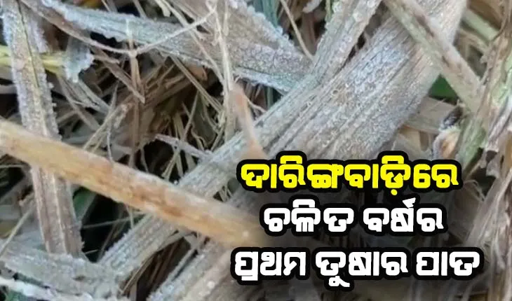 ଓଡ଼ିଶାର କାଶ୍ମୀର ଦାରିଙ୍ଗବାଡ଼ିରେ ଚଳିତ ବର୍ଷର ପ୍ରଥମ ତୁଷାର ପାତ
