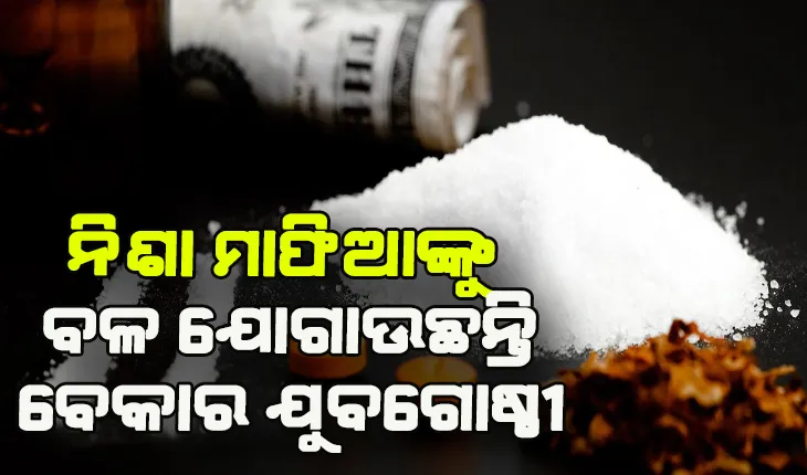 ନିଶା ବେପାରୀଙ୍କୁ ବଳ ଯୋଗାଉଛନ୍ତି ବେକାରୀ ଯୁବକ, ଅନଲାଇନରେ ଯୋଡି ହେବାକୁ ଦେଉଛନ୍ତି ବିଜ୍ଞାପନ