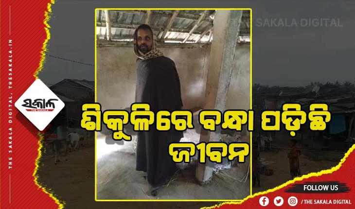 ଶିକୁଳିରେ ବନ୍ଧା ପଡ଼ିଛି ଜୀବନ