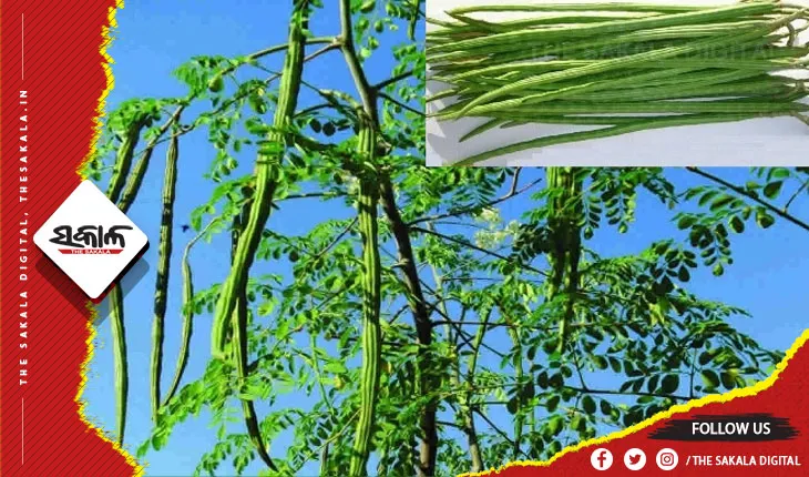 ଶରୀରରେ ଥିବା ହାଡକୁ ମଜବୁତ ରଖିବା ସହ ରୋଗପ୍ରତିରୋଧକ ଶକ୍ତି ବଢ଼ାଇବା ପାଇଁ ଖାଆନ୍ତୁ ଏହି ପରିବା….