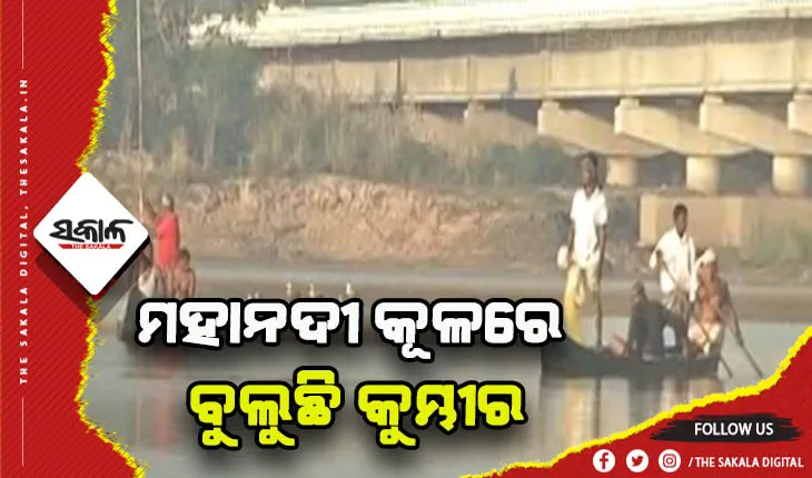 ମହାନଦୀରେ ଚାଲିଛି କୁମ୍ଭୀର ରେସ୍କ୍ୟୁ ଅଭିଯାନ, ସାମିଲ ଅଛନ୍ତି ୩୦ରୁ ଉର୍ଦ୍ଧ୍ବ ବନ କର୍ମଚାରୀ