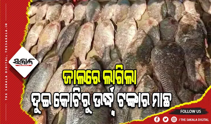 ମତ୍ସ୍ୟଜୀବୀଙ୍କ ଜାଲରେ ଲାଗିଲା ଦୁଇ କୋଟିରୁ ଉର୍ଦ୍ଧ୍ବ ଟଙ୍କାର ମାଛ