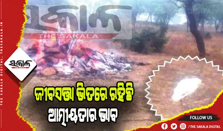 ଶ୍ମାଶାନରେ ଆନ୍ତିମ ସଂସ୍କାର ପର୍ଯ୍ଯନ୍ତ ବସି ରହିଲା ବଗ
