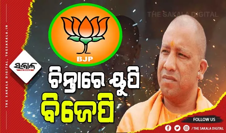ୟୁପି ପଦ୍ମ ପୋଖରୀରୁ ମୁହଁ ଫେରାଉଛନ୍ତି ଜଣଙ୍କ ପରେ ଜଣେ ହେଭିଓ୍ବେଟ୍‌ : ପୁଣି ଜଣେ କ୍ୟାବିନେଟ ମନ୍ତ୍ରୀ ଓ ୩ ବିଧାୟକ ଦେଲେ ଇସ୍ତଫା