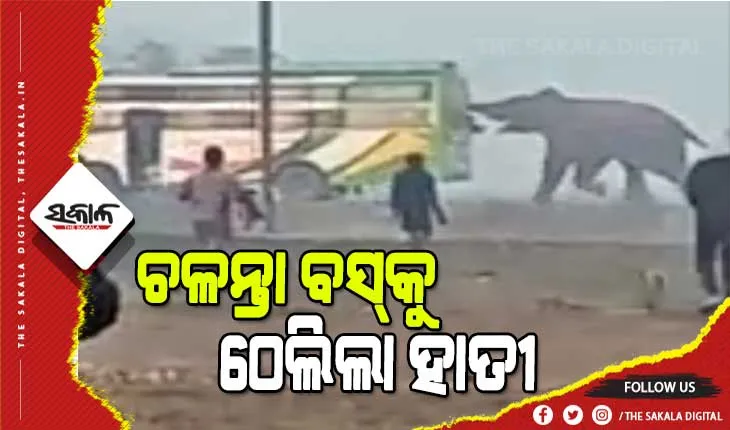 ବସକୁ ଶୁଣ୍ଢରେ ଠେଲି ଦେଲା ଦନ୍ତା, ଅଳ୍ପକେ ରକ୍ଷା ପାଇଲେ ଯାତ୍ରୀ