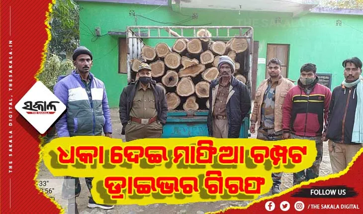 ଶିମିଳିପାଳରେ କାଠ ମାଫିଆ, ଧକା ଦେଇ ମାଫିଆ ଚମ୍ପଟ