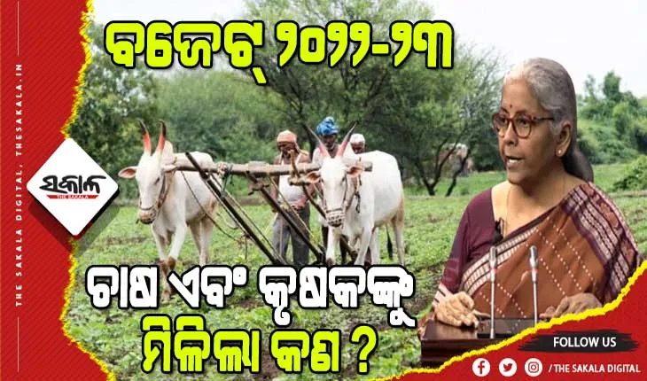 ବଜେଟ୍‌ ୨୦୨୨-୨୩ : ରାସାୟନିକ ମୁକ୍ତ ଚାଷକୁ ପ୍ରୋତ୍ସାହନ, ଡ୍ରୋନ୍ ଦ୍ଵାରା ହେବ କୃଷିକାର୍ଯ୍ୟ