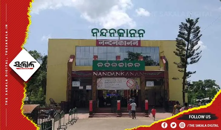 ଜଙ୍ଗଲୀ ହାତୀଙ୍କ ପାଇଁ ବନ୍ଦ ରହିଲା ନନ୍ଦନକାନନ