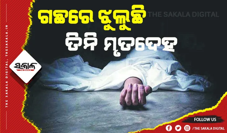 ଗଛରେ ଝୁଲୁଛି ୩ ଯୁବତୀଙ୍କ ମୃତଦେହ