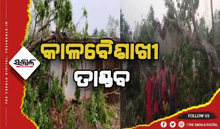 କାଳବୈଶାଖୀ ପ୍ରଭାବ: ଉଡ଼ିଗଲା ଛପର, ଗଛ ପଡି ଭାଙ୍ଗିଲା ଘର, ଅଳ୍ପକେ ବର୍ତ୍ତିଲେ ପୁରା ପରିବାର