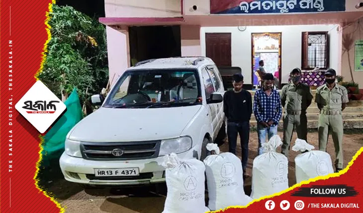 କାରରେ ଗଂଜେଇ ଚାଲାଣବେଳେ ମାଡିବସିଲା ପୋଲିସ; ୧୦ ଲକ୍ଷ ଟଙ୍କାର ଗଞ୍ଜେଇ ଜବତ, ୨ ଗିରଫ