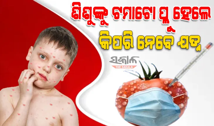 ଜାଣନ୍ତୁ ଟମାଟୋ ଫ୍ଲୁର କ’ଣ ରହିଛି ଲକ୍ଷଣ ଏବଂ କିପରି କରିବେ ଏହାର ଚିକିତ୍ସା