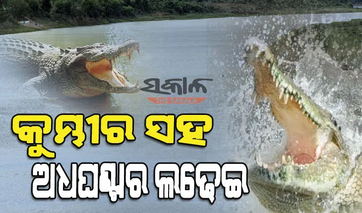 ନଦୀ ଭିତରେ କୁମ୍ଭୀର ସହ ଲଢେଇ କରି ଜୀବନ ବଞ୍ଚାଇଲେ ନାବାଳକ