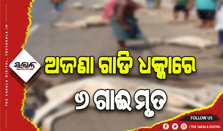 ଅଜଣା ଗାଡି ଧକ୍କାରେ ୬ ଗାଈ ମୃତ