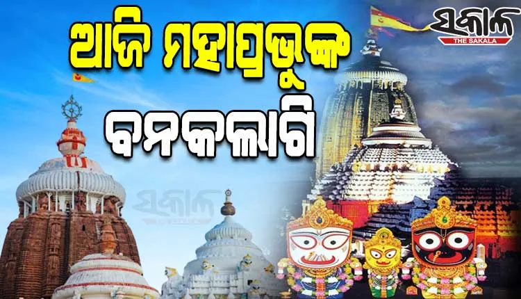 ଆଜି ଶ୍ରୀମନ୍ଦିରରେ ମହାପ୍ରଭୁଙ୍କ ବନକଲାଗି ନୀତି, ୪ ଘଣ୍ଟା ବନ୍ଦ ରହିବ ସର୍ବସାଧାରଣ ଦର୍ଶନ 