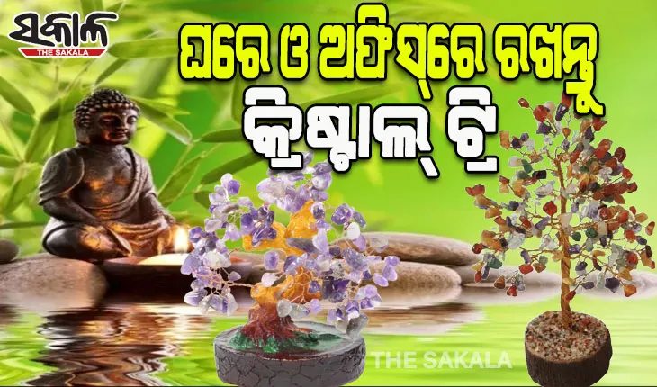 ସକାରାତ୍ମକ ଶକ୍ତି ସୃଷ୍ଟି ହେବା ସହ ସୁଖସମୃଦ୍ଧି ବୃଦ୍ଧି କରିବା ପାଇଁ ଘରେ ଓ ଅଫିସ୍‌ରେ ରଖନ୍ତୁ କ୍ରିଷ୍ଟାଲ୍‌ ଟ୍ରି