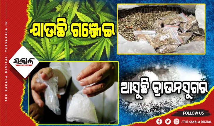 ଯାଉଛି ଗଞ୍ଜେଇ, ଆସୁଛି ଧଳାଜହର: ୧୦ ମାଫିଆଙ୍କ ସମ୍ପତ୍ତି ଯାଞ୍ଚକରୁଛି କମିସନରେଟ୍ ପୁଲିସ