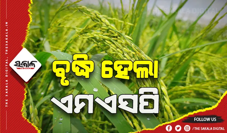 ଧାନ ସମେତ ୧୭ଟି ଫସଲର ଏମଏସପି ବୃଦ୍ଧି